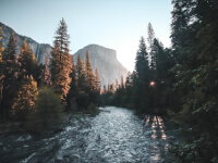 services-06 Services 06