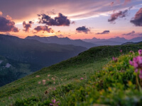 services-09 Services 09